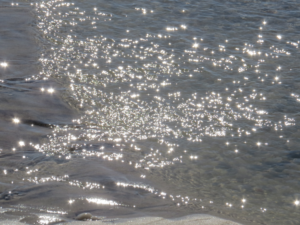 Seeking the Light by Mary McGrane