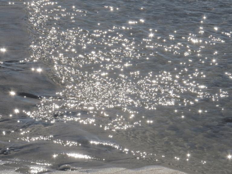 Seeking the Light by Mary McGrane